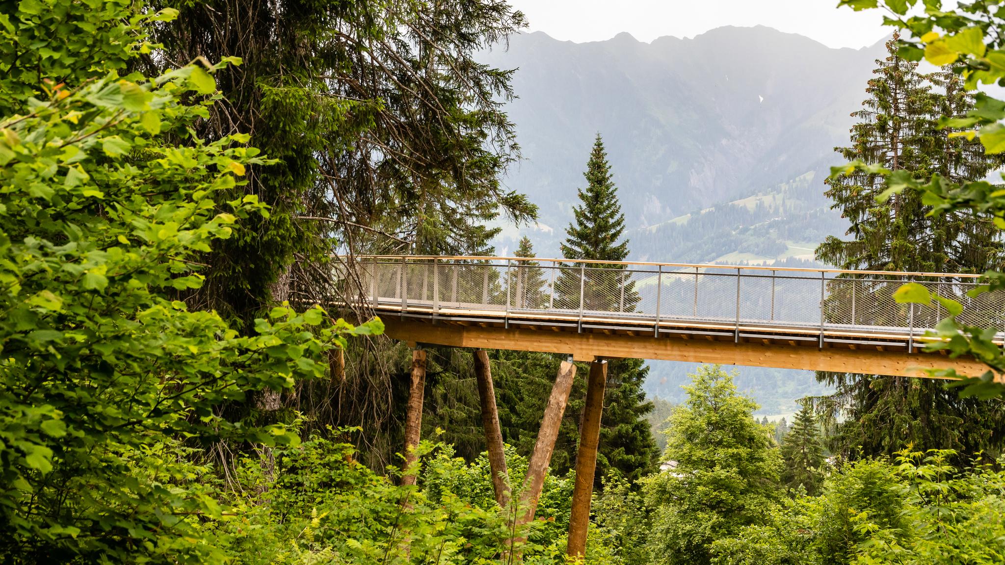 Flims Herfst 2026 - Intersoc